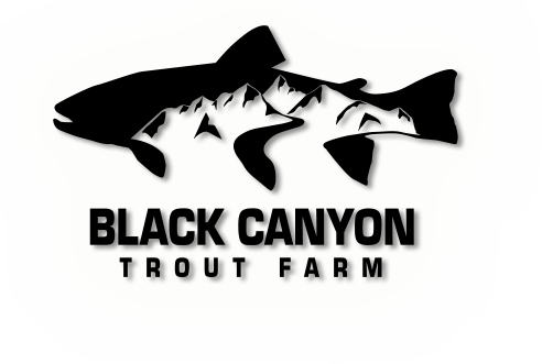 Black Canyon Trout Farm